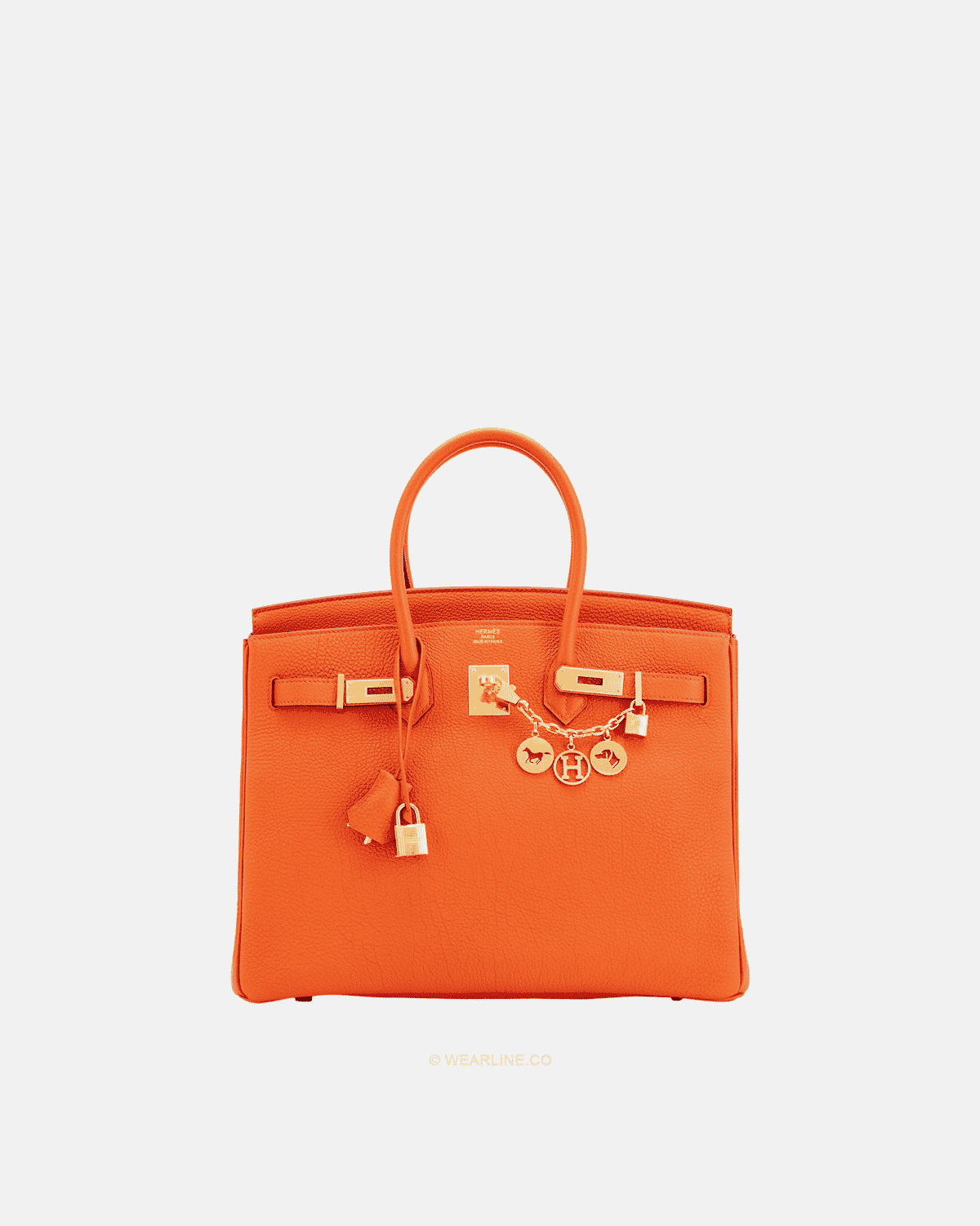 BIRKIN